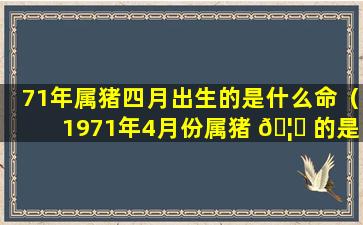 71年属猪四月出生的是什么命（1971年4月份属猪 🦊 的是什么命）